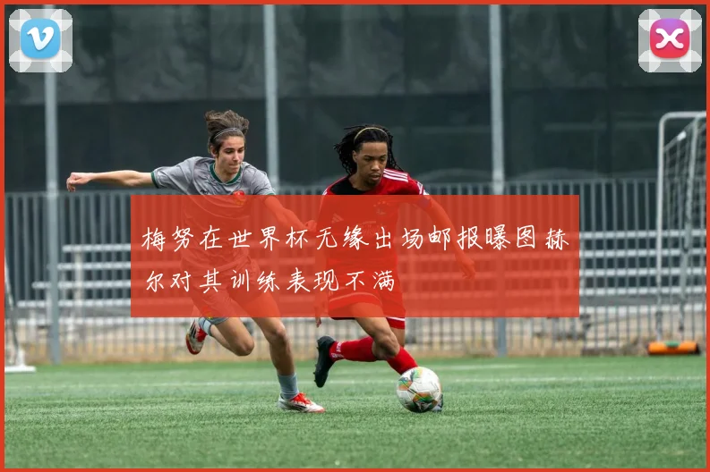 梅努在世界杯无缘出场邮报曝图赫尔对其训练表现不满