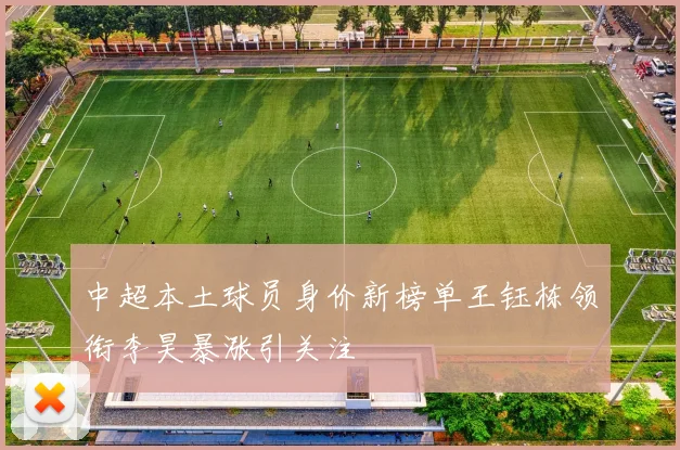 中超本土球员身价新榜单王钰栋领衔李昊暴涨引关注