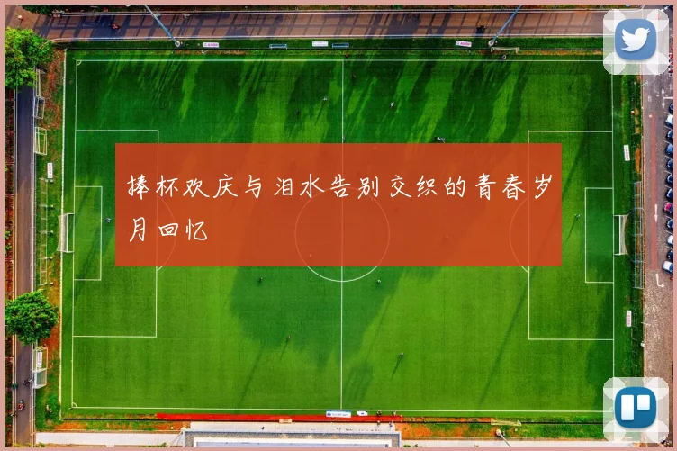 捧杯欢庆与泪水告别交织的青春岁月回忆